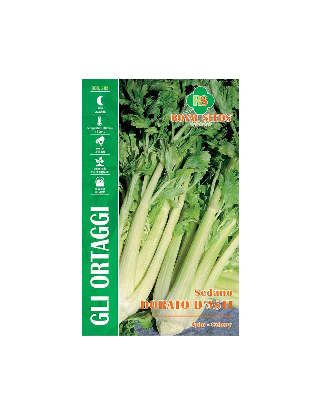 SEDANO DORATO D'ASTI 1 SEDANO DORATO D'ASTI