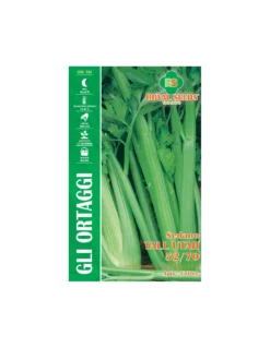 SEDANO GROENE PASCAL MAXI