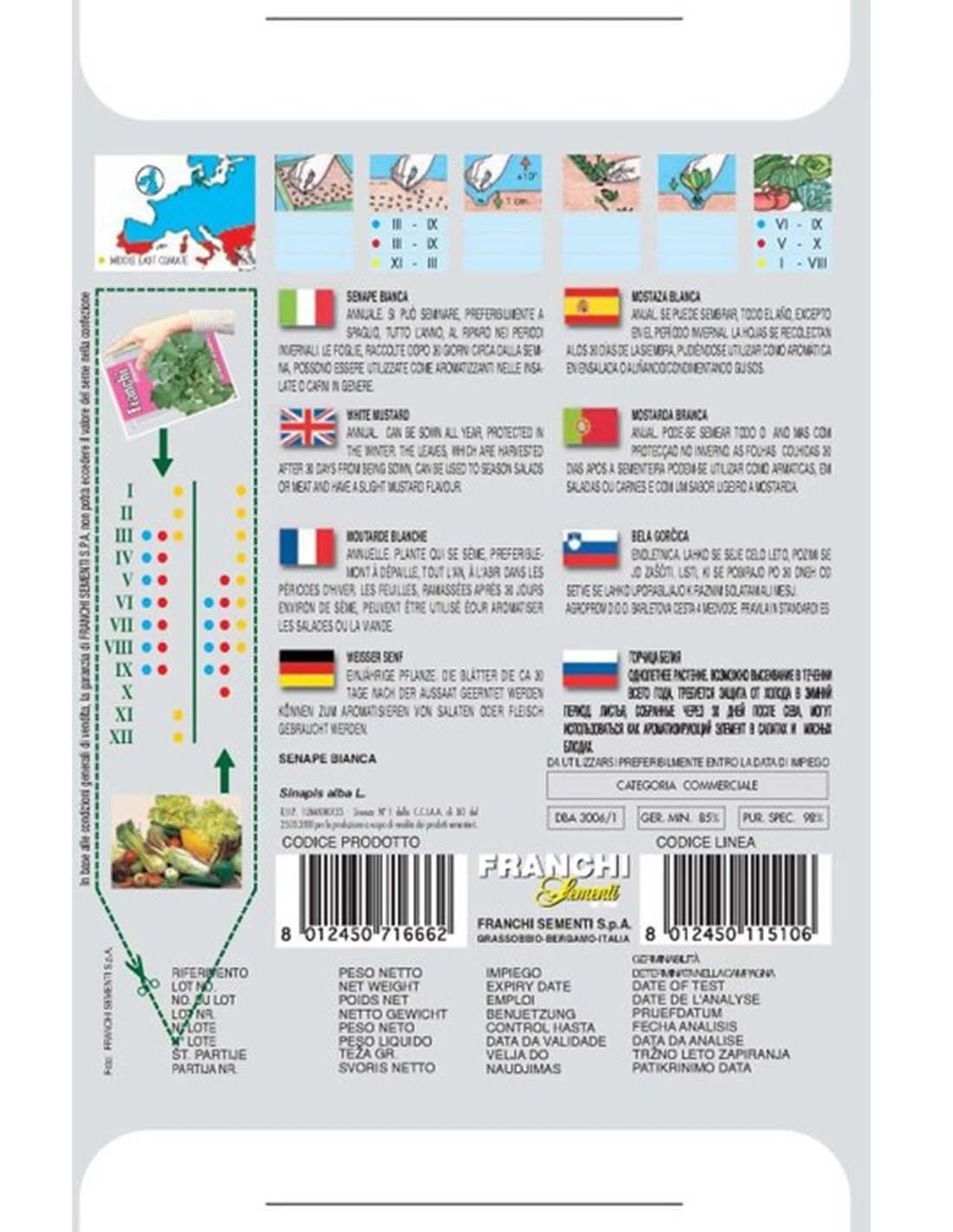 SENAPE BIANCA 2 SENAPE BIANCA - immagine 2