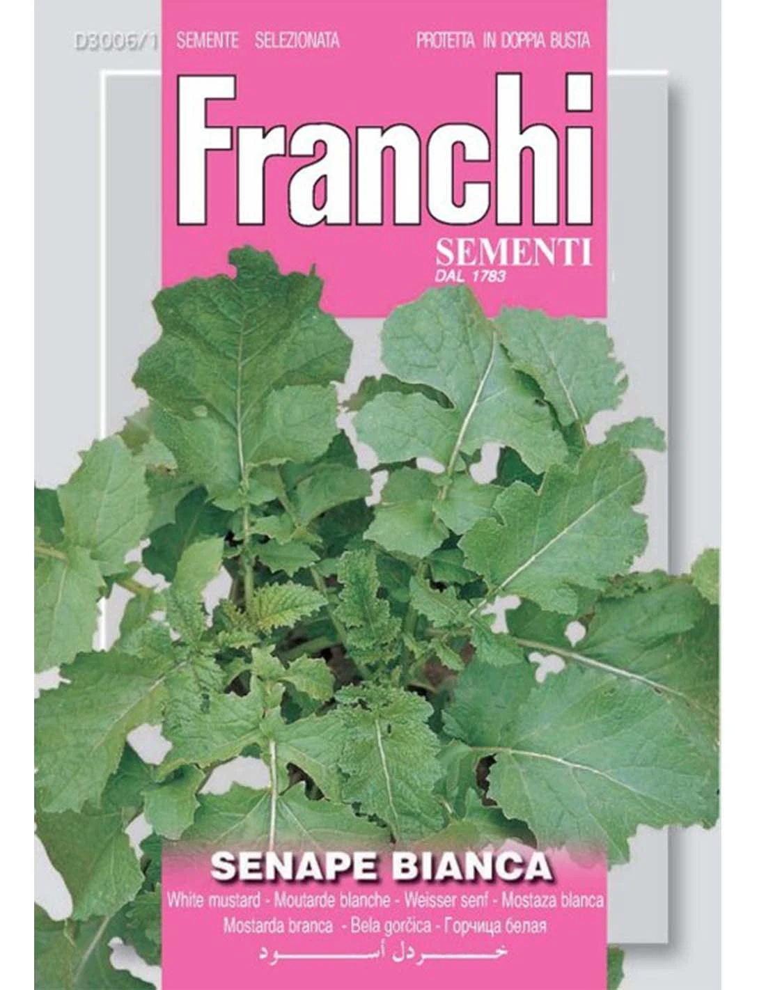 SENAPE BIANCA 1 SENAPE BIANCA