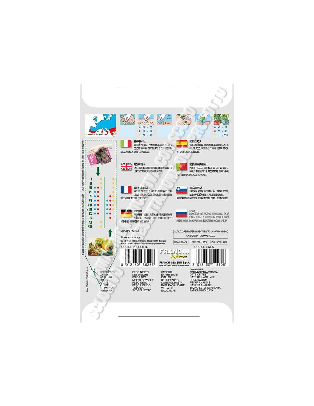 SENAPE ROSSA 2 SENAPE ROSSA - immagine 2
