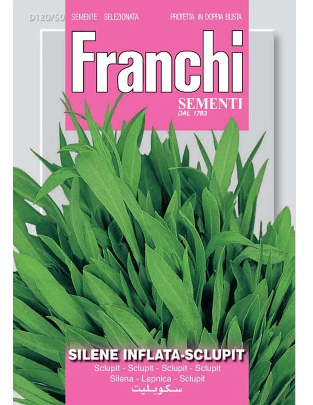 SILENE INFLATA 1 SILENE INFLATA