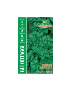 SPINACIO AMERICA MAXI