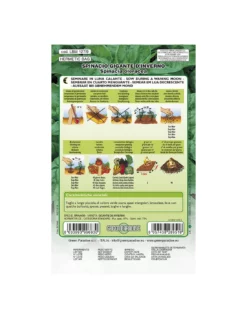 SPINACIO GIGANT.INVIERNO LBM -Vendite Forniture Da Giardino spinacio gigant invierno lbm 1