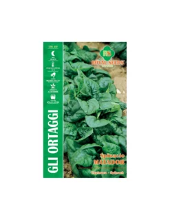 SPINACIO MATADOR MAXI