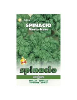 SPINACIO MERLO NERO GR.100