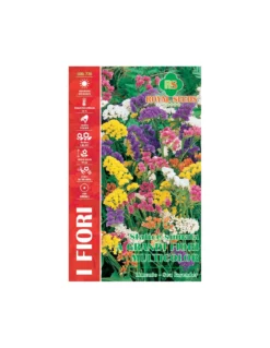 STATICE SINUATA A GR.FIORI MULTICOLOR MA