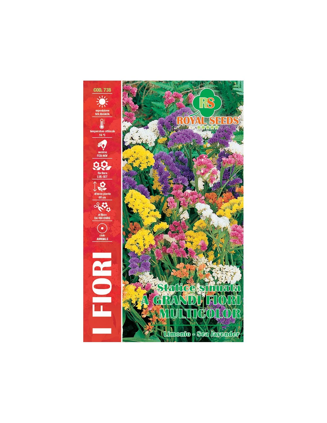 STATICE SINUATA A GR.FIORI MULTICOLOR MA 1 STATICE SINUATA A GR.FIORI MULTICOLOR MA