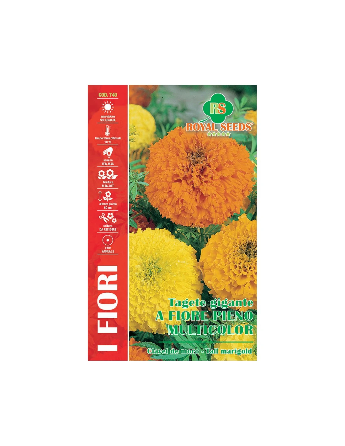 TAGETE GIGANTE A F.PIENO MULTICOLOR MAXI