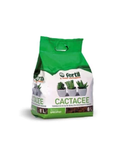 TERRICCIO BALLETTA CACTACEE LT. 8