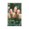TULIPANO "DIABLO" (greigii) 10 BULBI