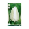TULIPANO "WHITE PRINCE" (single Early) 10 BULBI