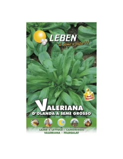 VALERIANA D'OLANDA S.G. LBM