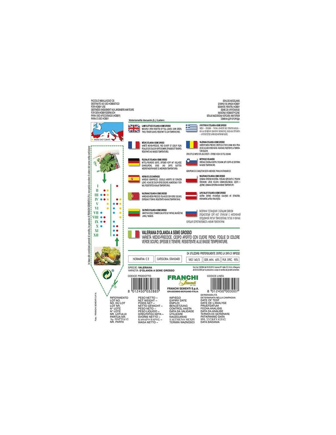 VALERIANA D'OLANDA S.G. 2 VALERIANA D'OLANDA S.G. - immagine 2