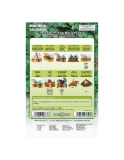 VALERIANA VERTE CAMBRAI LBM 3 VALERIANA VERTE CAMBRAI LBM -Vendite Forniture Da Giardino valeriana verte cambrai lbm 1