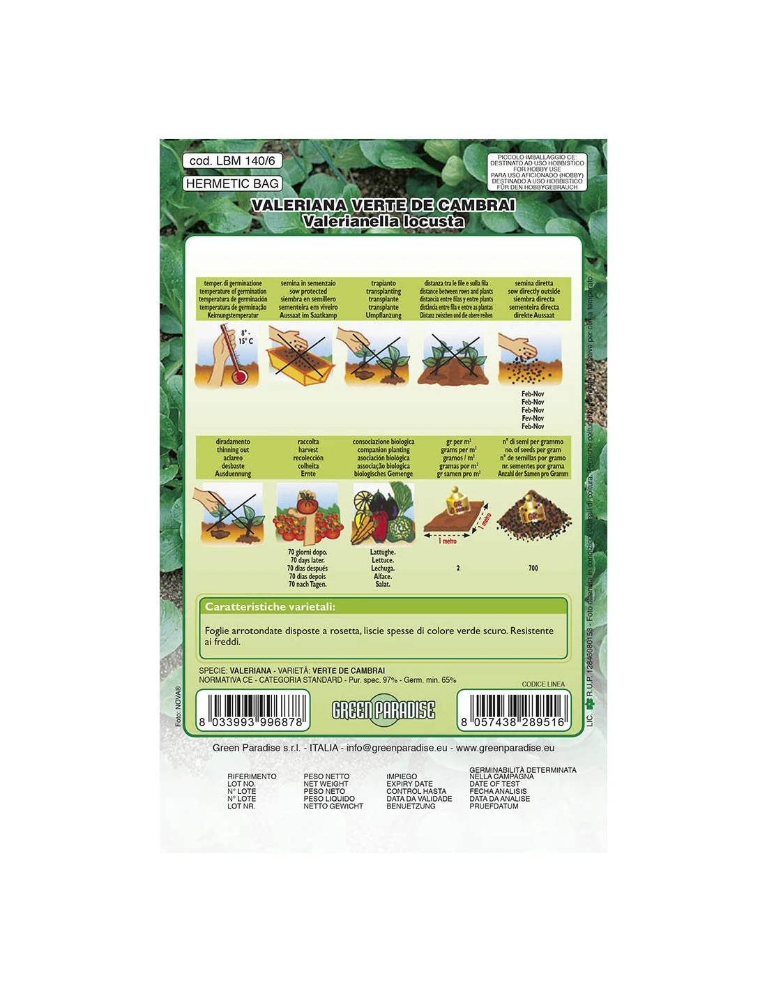 VALERIANA VERTE CAMBRAI LBM 2 VALERIANA VERTE CAMBRAI LBM - immagine 2