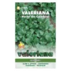 VALERIANA VERTE CAMBRAI LBM