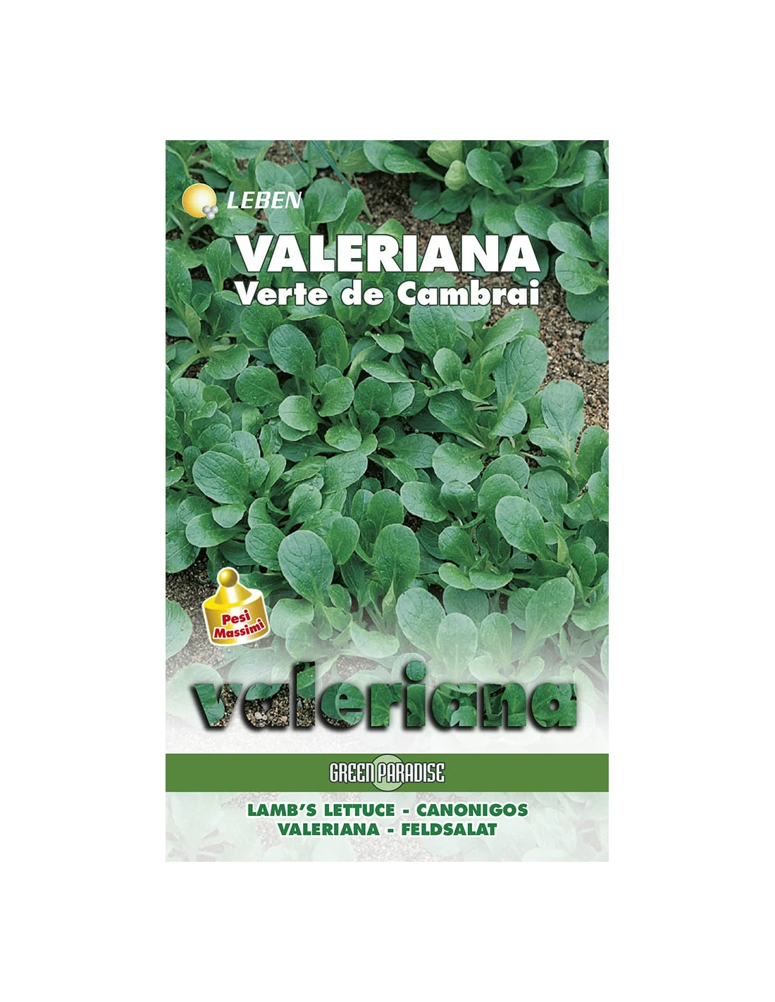 VALERIANA VERTE CAMBRAI LBM 1 VALERIANA VERTE CAMBRAI LBM