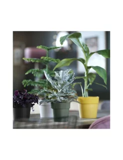 Elho VASO B.FOR ORIGINAL TONDO LIVING COLORE NERO -Vendite Forniture Da Giardino vaso bfor original tondo living colore nero 2