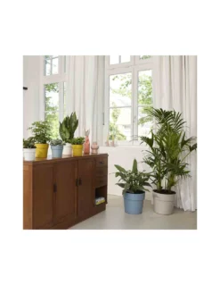 Elho VASO B.FOR ORIGINAL TONDO LIVING COLORE NERO -Vendite Forniture Da Giardino vaso bfor original tondo living colore nero 5