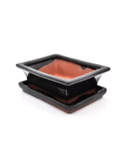 VASO BONSAI POTSET BLACK 15 Cm