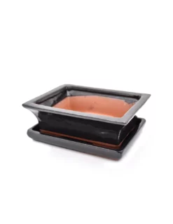 VASO BONSAI POTSET BLACK 20 Cm