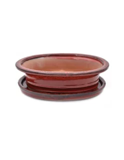 VASO BONSAI POTSET RED 25 Cm