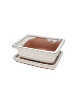 VASO BONSAI POTSET WHITE 15 Cm