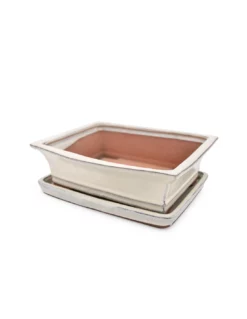 VASO BONSAI POTSET WHITE 30 Cm