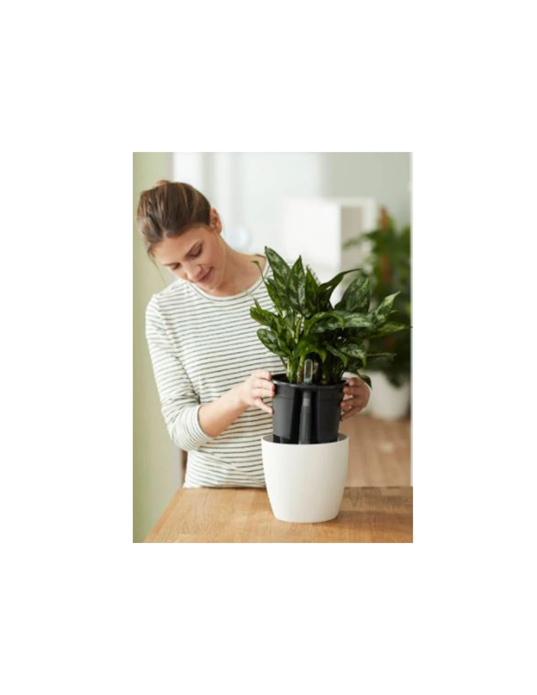 Elho VASO BRUSSELS DIAMOND ROUND BIANCO 2 Elho VASO BRUSSELS DIAMOND ROUND BIANCO - immagine 2