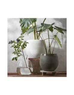 VASO CERAMICA DOURO GREEN - H12XD26 Cm -Vendite Forniture Da Giardino vaso ceramica douro green h12xd26 cm 3