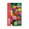 ZINNIA NANA THUMBELINA MULTICOLOR MAXI