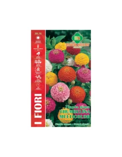 ZINNIA NANA THUMBELINA MULTICOLOR MAXI