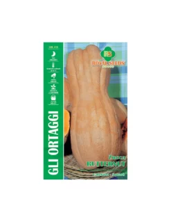 ZUCCA BUTTERNUT MAXI