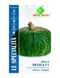 ZUCCA DELICA HY F1 SP