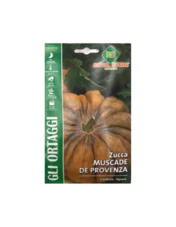 ZUCCA MUSCADE DE PROVENZA