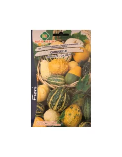 ZUCCHETTE ORNAMENTALI CAROSELLO