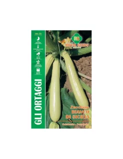 ZUCCHIN.BIA.DI SICILIA MAXI