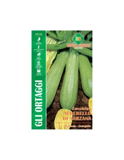 ZUCCHINO ALBERELLO DI SARZANA MAXI