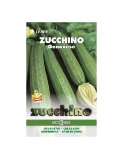 ZUCCHINO GENOVESE LBM